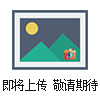 HEK293-L人胚肾细胞